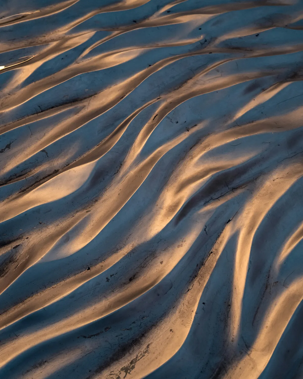 Ripples in tidal mud, lit by low sunset light.